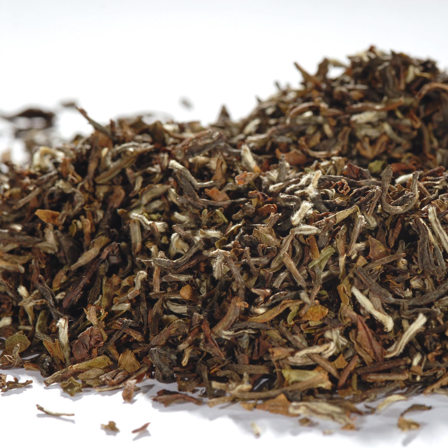 Sikkim 2nd Flush Temi