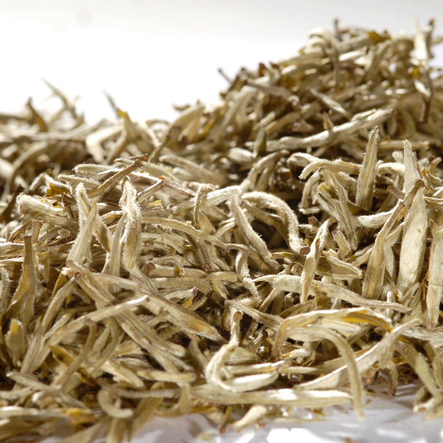 China Yin Zhen Silverneedle